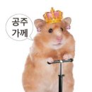 남구-58 이미지