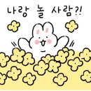 카페제이디