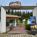 더야무지개 | 담양 오랑쥬마을 캠핑 후기｜5번 텐트 이용, 겨울에도 따뜻했던 바베큐 캠핑