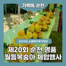 제17회 순천명품 월등 복숭아 체험행사 | 제20회 순천 명품 월등복숭아 체험행사 다녀왔어요.🍑무더운 여름이 되면 입안 가득 퍼지는달콤한 복숭아...