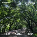 시청길10번길 보행자우선도로 | 블루버드, 스프레드 유어 윙스! 와 지옥의 업힐 남산 북측순환로