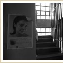 보리수다방 이미지