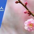 [원자력산업회의] 2018.2.27. 원자력 투데이뉴스 - 산업부장관 "UAE 추가건설 검토 원전 4기 수주 노력", 2018 한국원자력연차대회 안내, 행사 이미지