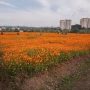 기흥호수공원 이미지