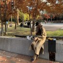 컬러모아