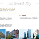 스카이비젼 이미지