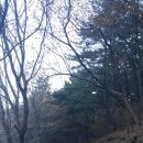 두송중학교 이미지