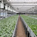 호동이농장 이미지