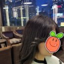 제노헤어 - 거제시 | 제노헤어