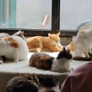 (주)크로바투어