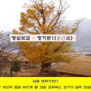 명심보감 이미지