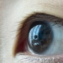 뉴안경마트 이미지