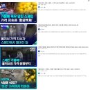 감람농장 | [이스라엘 야엘 네게브 올리브오일 이야기1] 소중한 몸을 회복하는 아침 공복 습관, 상위 1% 최고급...