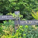 창3 초안산 근린공원(3)