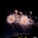 2024 한화 여의도 불꽃축제 그린존 구매 후기