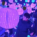 발레(2016~2019년생) | 여수 아르떼뮤지엄 입장료 관람시간 주차장 후기