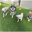 낙원유치원 이미지