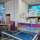 형제수산회직판장 | 경주 감포 수산시장 | 경주여행 ' 형제수산 ` 바다 회 포장 ! 감포 수협활어직판장 4인세트바리 후기...