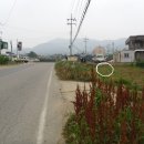 호서대정문 이미지