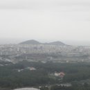 정실비식당 이미지