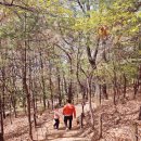 8살 아이와 등산하기 좋은 방화근린공원 탐방후기