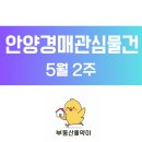 헤븐리치더퍼스트 294 | 5월 2주차 안양경매 관심물건 (샛별한양, 두산벤처다임)