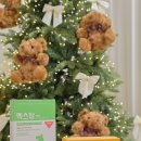 새로나 | 강아지 상비약 새로나 연고, 맥스탑 설사 보조제 구비 후기