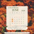 호약손안마원 | 대전 서구 괴정동 브라질리언 왁싱 추천샵 코코뷰티