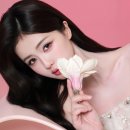 대작 이미지
