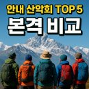안내산악회 버스 TOP 5 비교 (알레버스, 페어플레이, 좋은사람들, 반더룽, 다음매일)