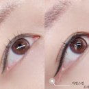 당감꼬리 이미지