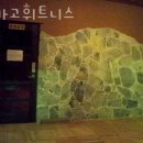 시카고휘트니스 이미지