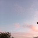 요가(야간반) 이미지