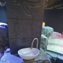 더 베이 | 경기 시흥 거북섬 가볼만한곳 가족과 함께 즐기기 좋은 신상 아쿠아리움 더베이54 솔직후기