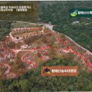 캠프원 야영장 | 황매산 숲속야영장 카라반 캠퍼하우스 야영장 명당/황매산 캠퍼하우스 철쭉 104 이용후기
