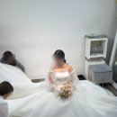 8. 에스띠아 촬영 드레스 가봉 후기 + 컬렉트비 드레스투어