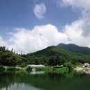 중리낚시터 이미지