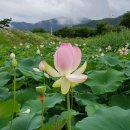 405차 정기산행 - 구례군 구만제와 수상스키 이미지