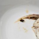 해누리어시장 | 평택 고덕 회 맛집 해누리어시장 내돈내산 솔직후기