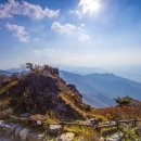 동산애 이미지