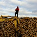 유학농장 이미지