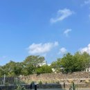 제주도 푸른밤 | 떠나요~둘이서 모든 것 훌훌 버리고 제주도 푸른밤 그별아래♡