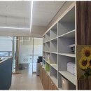 세무회계정진 - 강남구 역삼로9길 21 | 세무회계정진