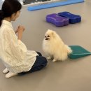 헬로우버디 이미지