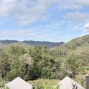 토리글램핑 | 강원도 홍천 토리아이글램핑 내돈내산 객실 선택 전에 꼭 보세요