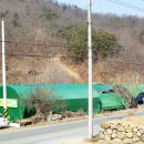 이원호농장 네이버블로그