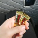 드디어 상반기 정리❗️[3월 중순 - 4월 중순]