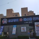 금강장 이미지