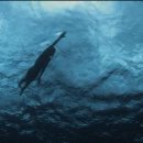 셀러스트 이미지