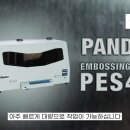 더블유티 인터내셔널